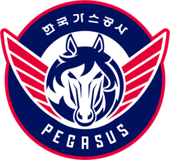 首尔三星雷电