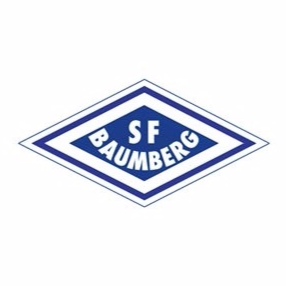 VfB洪贝格